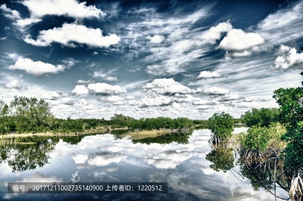 風(fēng)景