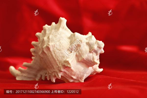 物體-匯圖網(wǎng) www.fosd68.com 物體