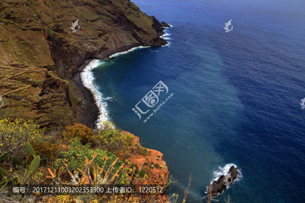 野生海岸