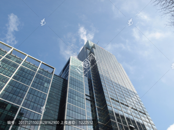 城市