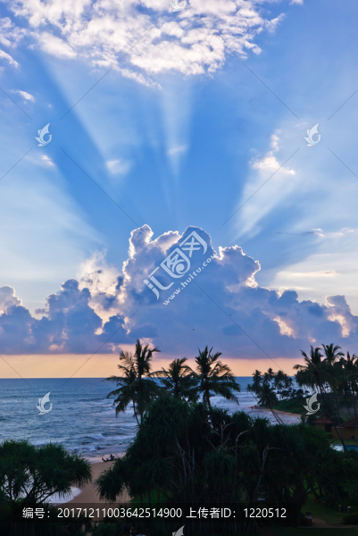 從斯里蘭卡的海灘景色