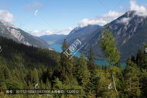 山
