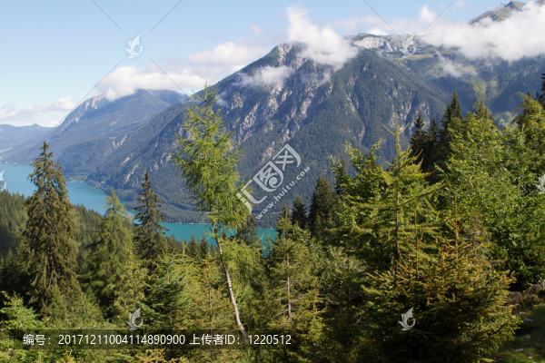 山