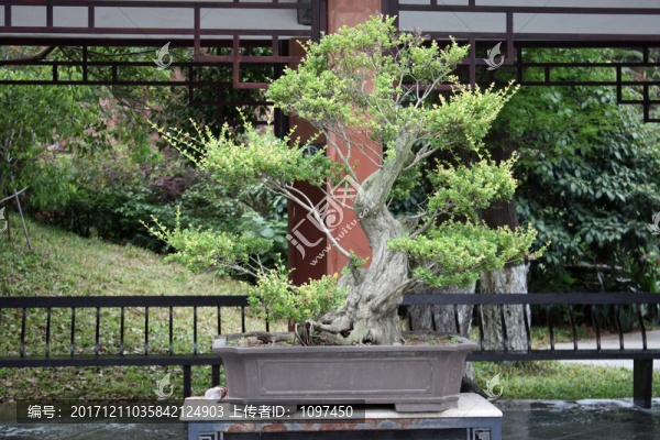 水濂古廟