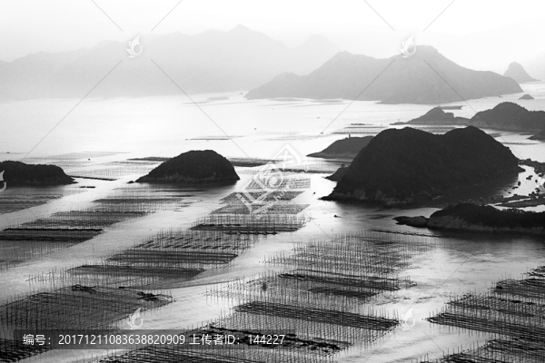 海上漁排