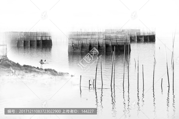 漁鄉(xiāng),圍網(wǎng)