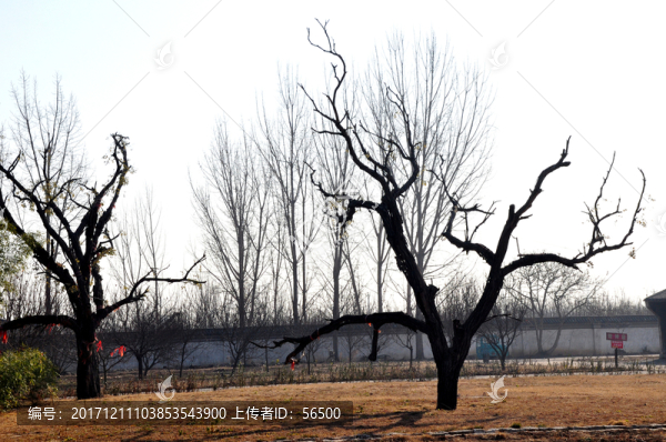 臨沂影視城