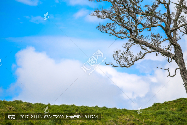 伊甸山風(fēng)景
