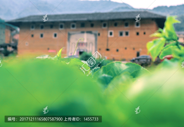土樓