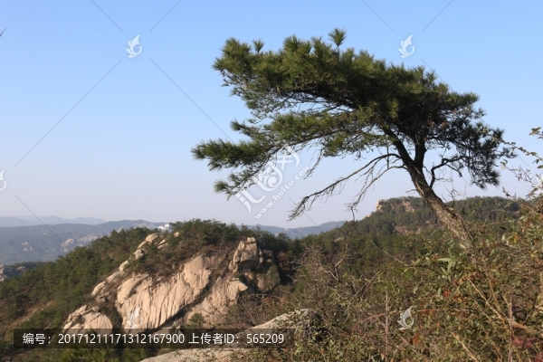 大頂山風(fēng)景
