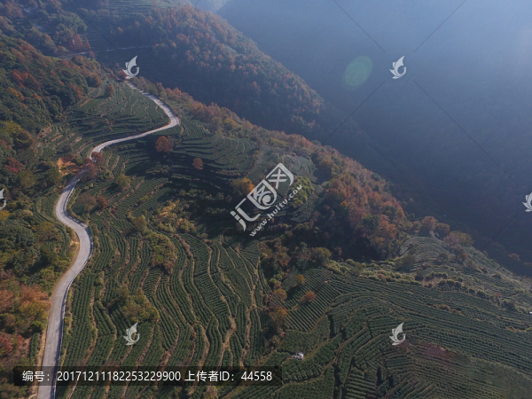 鄉(xiāng)村道路
