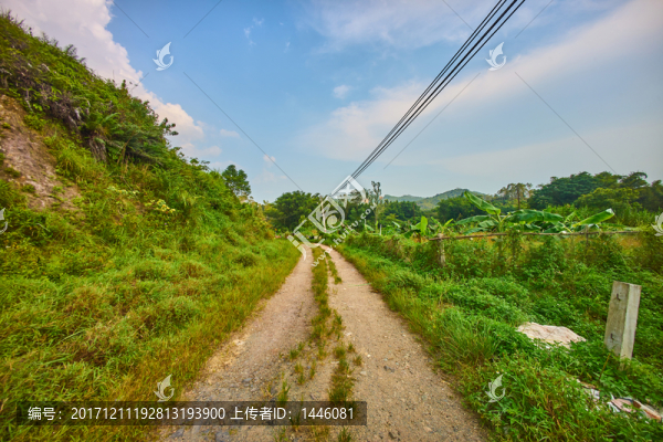鄉(xiāng)下道路風光