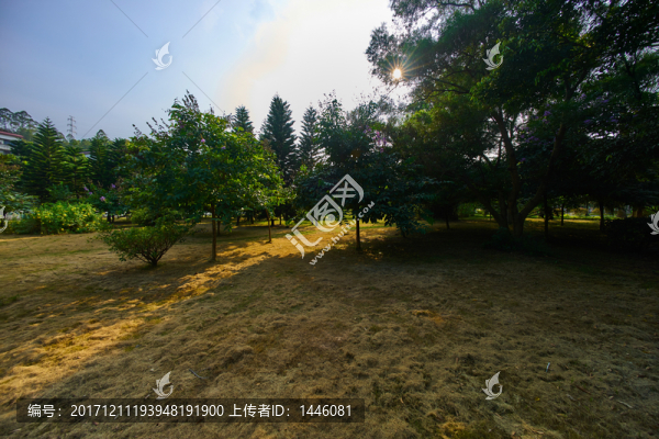 惠州學(xué)院的園林