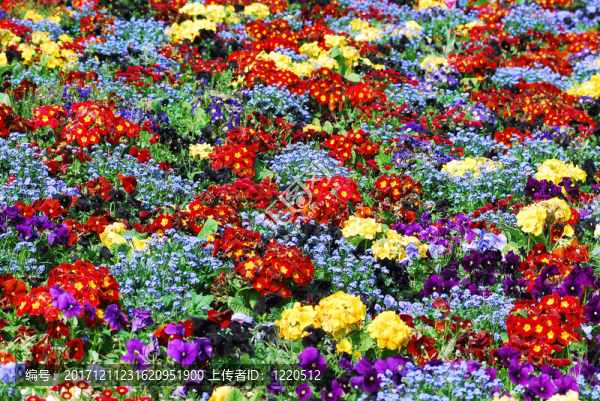 花