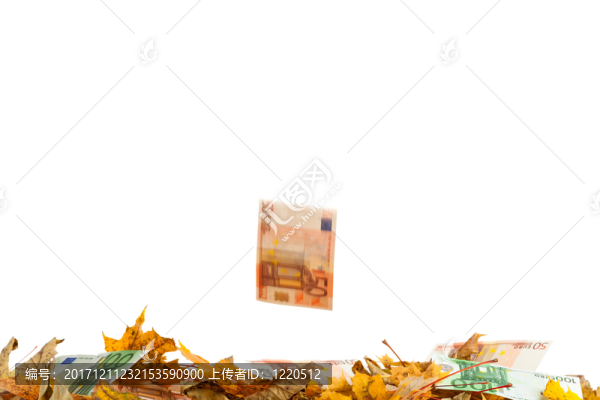 50歐元的鈔票落在樹(shù)葉和一堆錢(qián)上