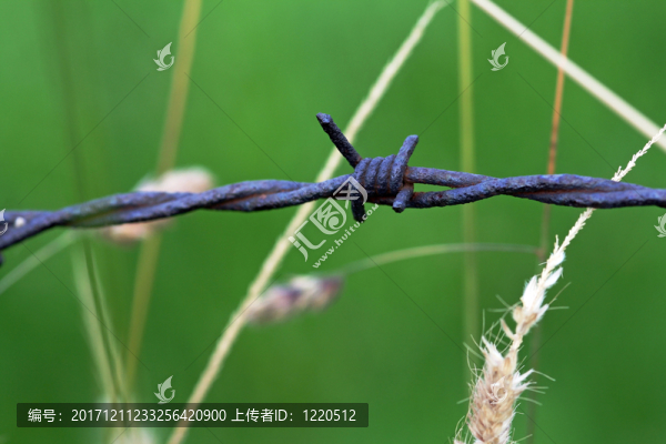 農(nóng)業(yè)