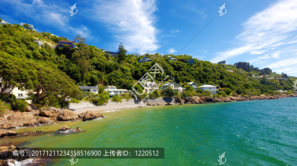 美麗的