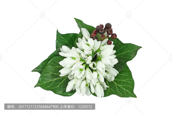 花