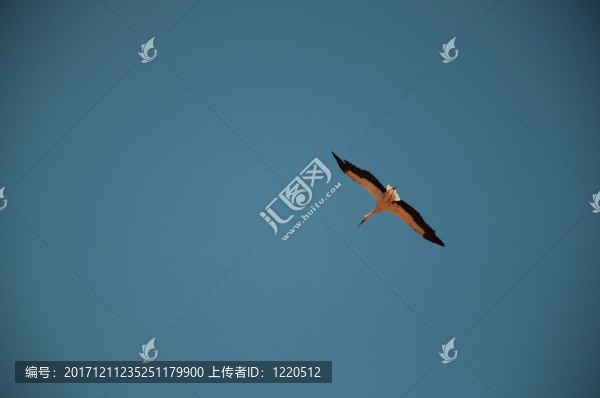 建筑學(xué)的