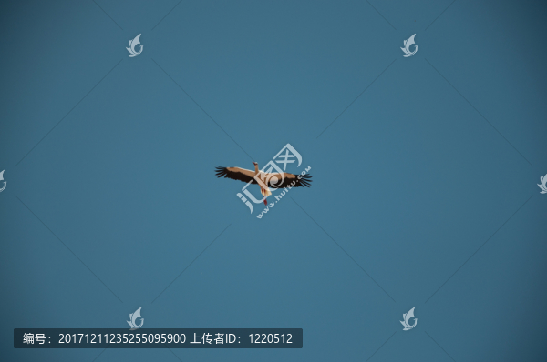建筑學(xué)的