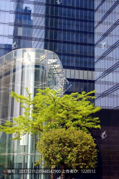 藍(lán)色