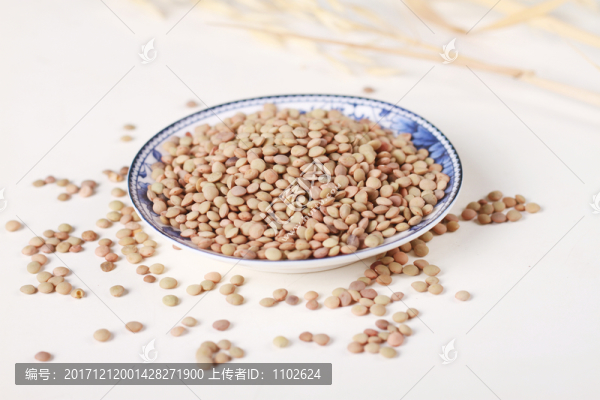 扁豆