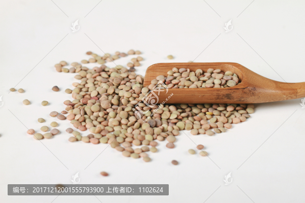 扁豆
