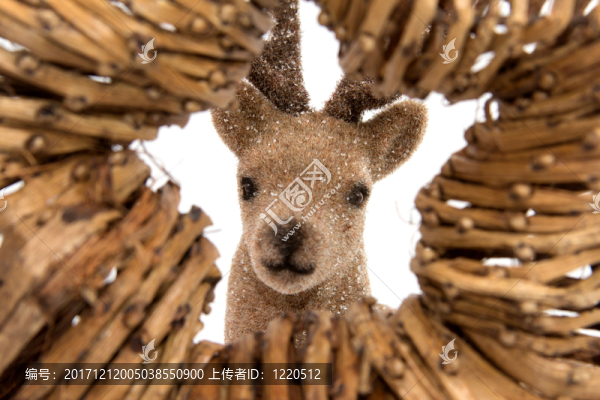 明星與馴鹿