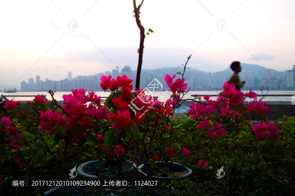 香港街景