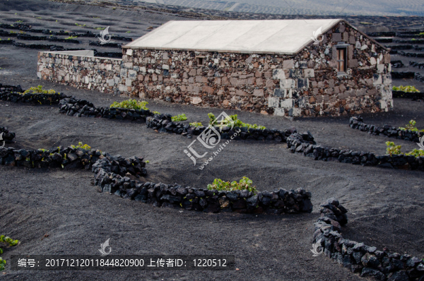 農(nóng)業(yè)