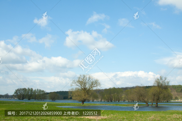 樹-匯圖網(wǎng) www.fosd68.com 樹