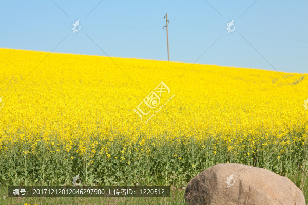 強(qiáng)奸和巨石