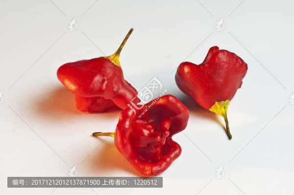 鐘辣椒