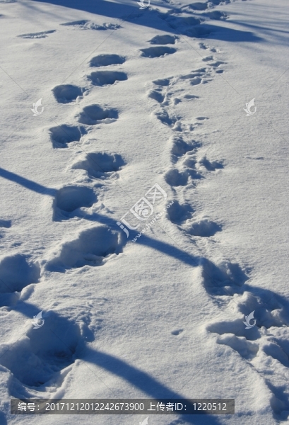 雪