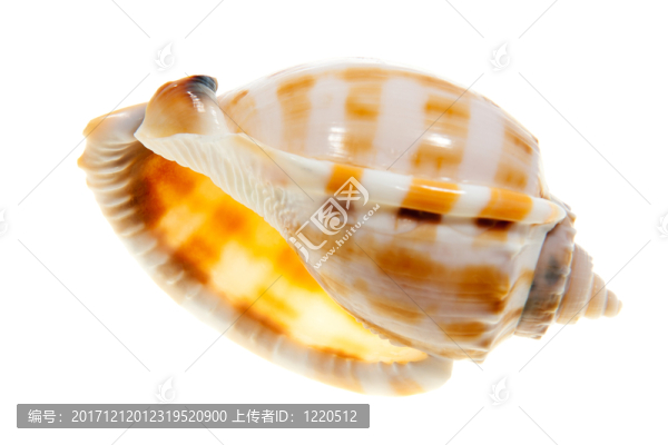 物體
