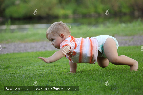 蹣跚學(xué)步在草地上爬行