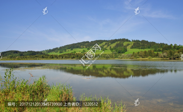 在nesselwang,im,allg？u的grüntensee