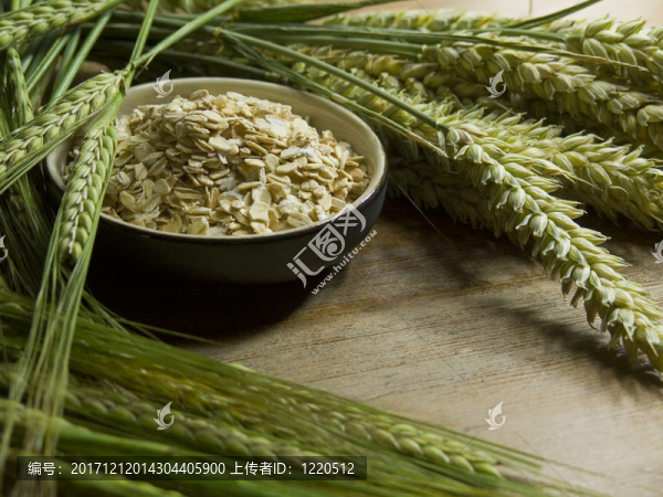 食物