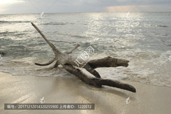 海灘