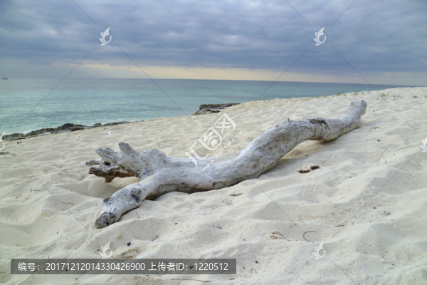海灘