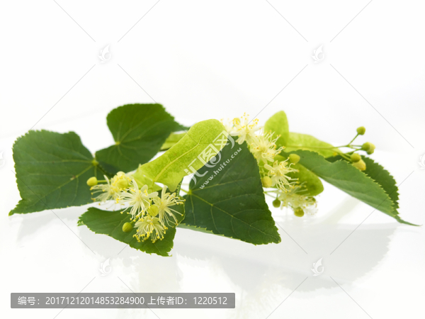 美國技術(shù)教育協(xié)會