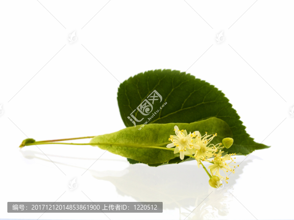 美國技術(shù)教育協(xié)會