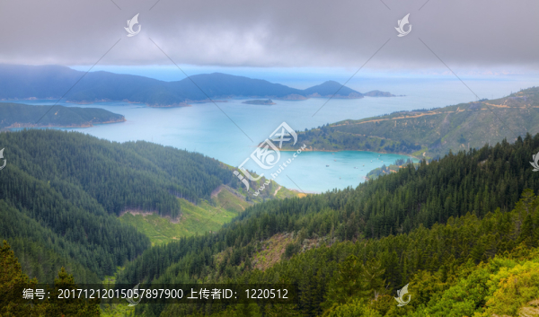 山