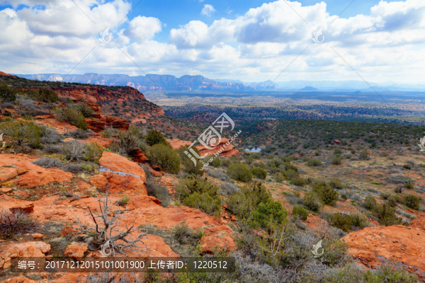 山