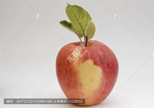 蘋果腐爛凝膠
