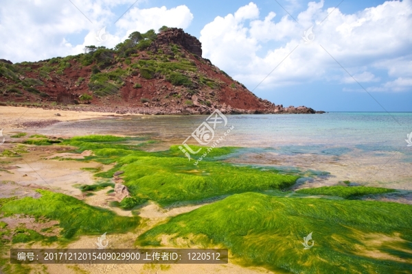 海灘