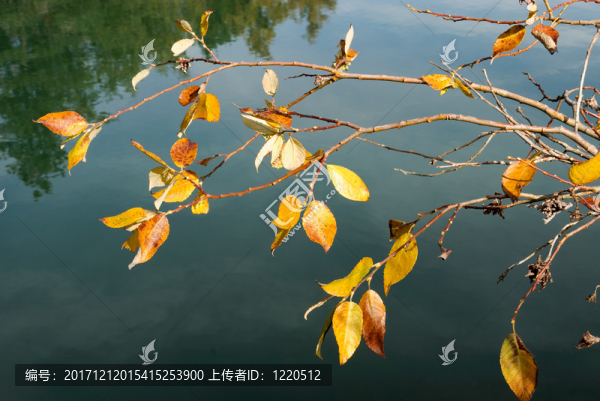 環(huán)境