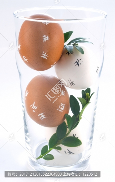 美麗的