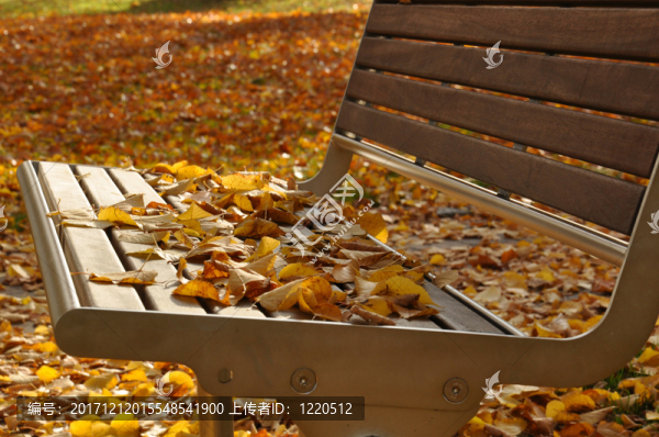 公園的長(zhǎng)椅上