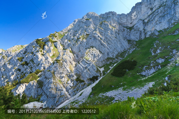 旅行